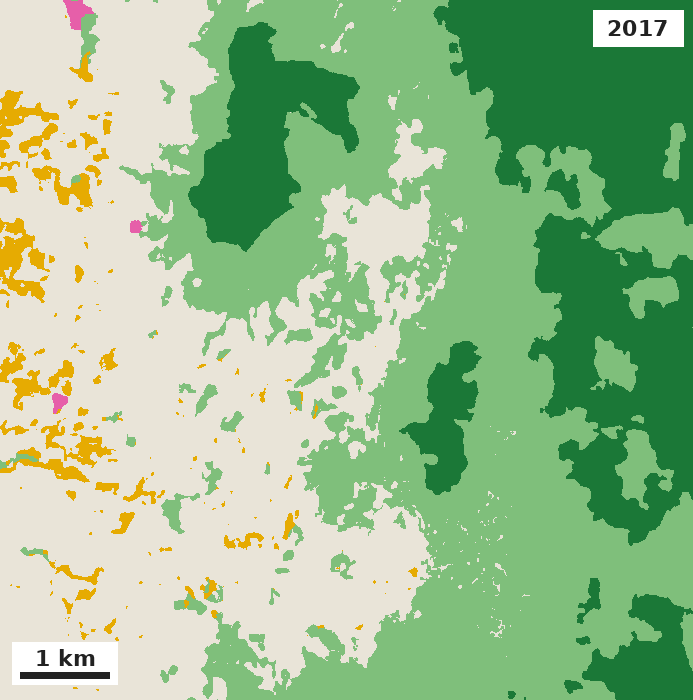Cabanglasan, Bukidnon, forest types in 2017, about 10 m resolution