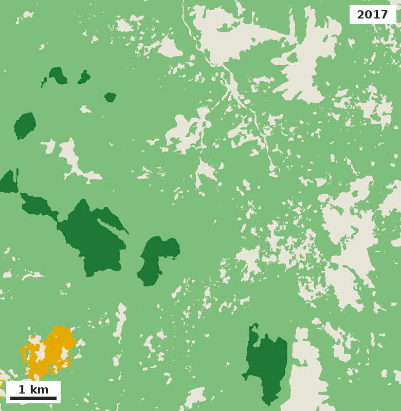 Sablayan, Occidental Mindoro, forest types in 2017, about 10 m resolution