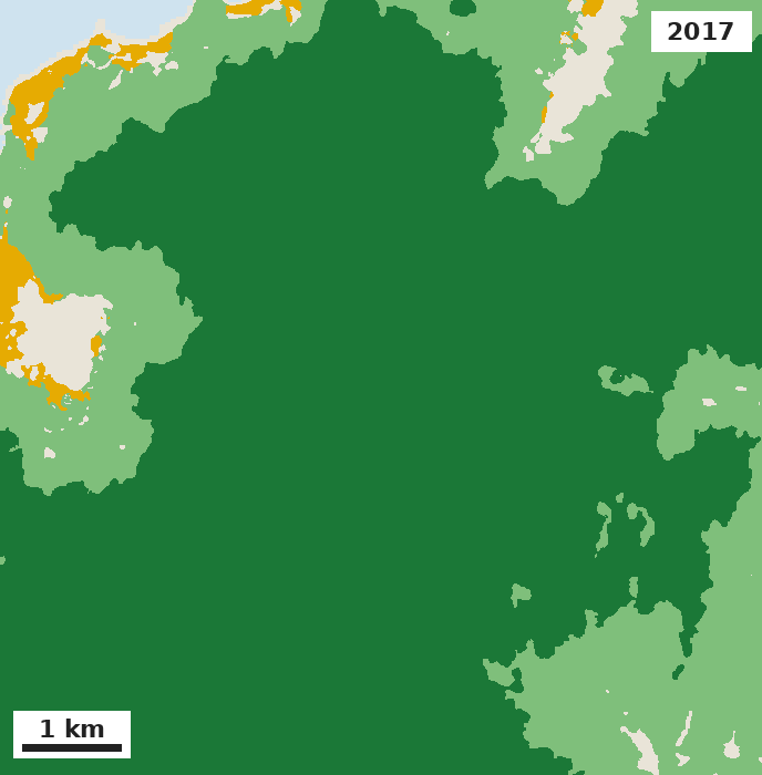 Northern Palawan, forest types in 2017, about 10 m resolution