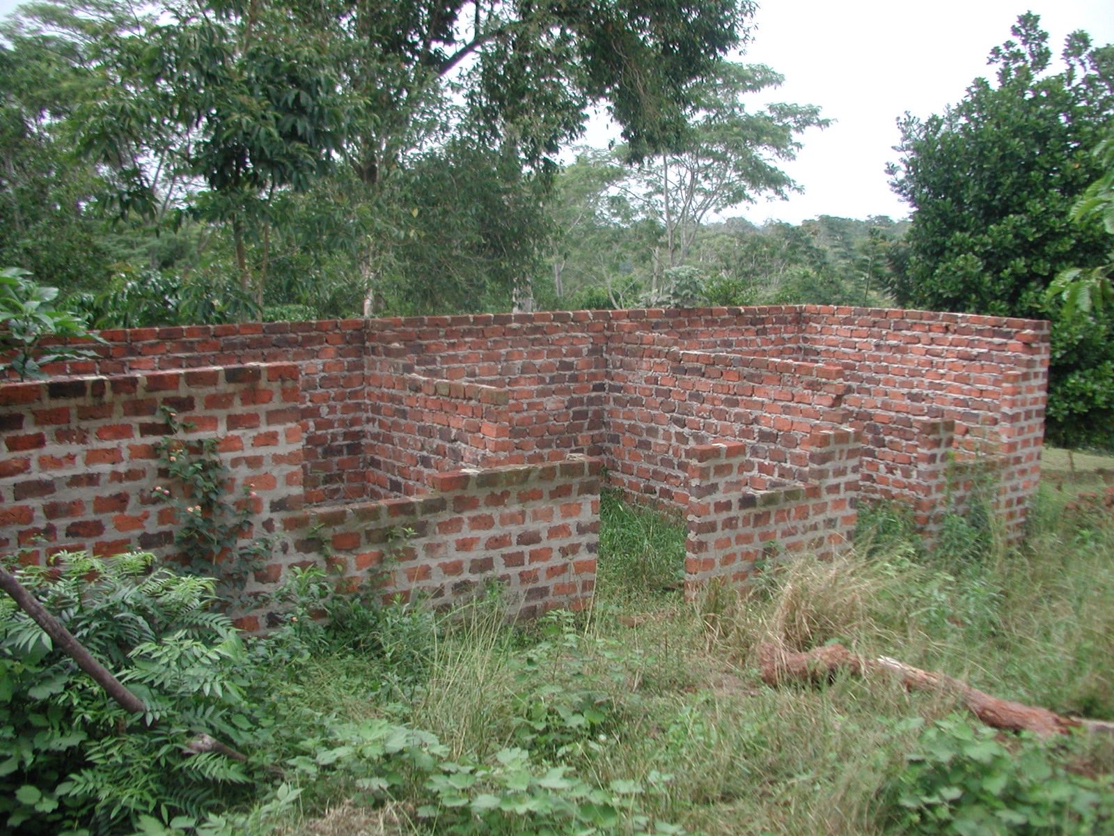 Unfinished red-brick building shell with no roof, door and window openings, and vegetation growing inside and around it